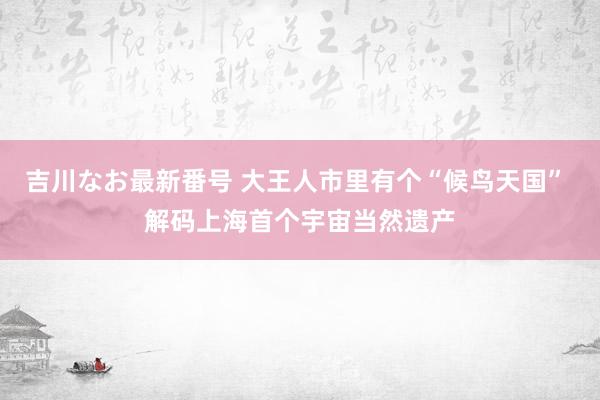 吉川なお最新番号 大王人市里有个“候鸟天国” 解码上海首个宇宙当然遗产