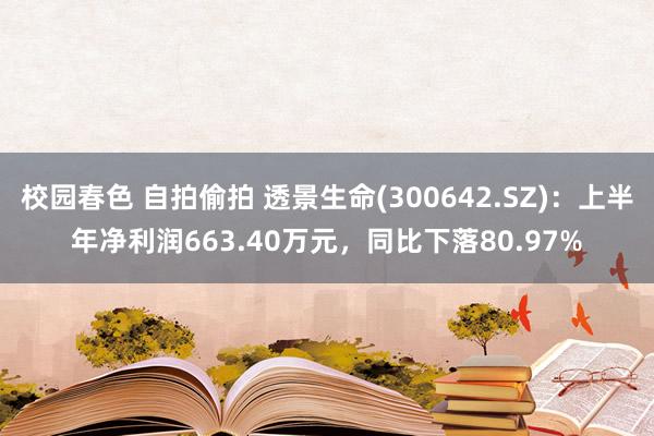 校园春色 自拍偷拍 透景生命(300642.SZ)：上半年净利润663.40万元，同比下落80.97%