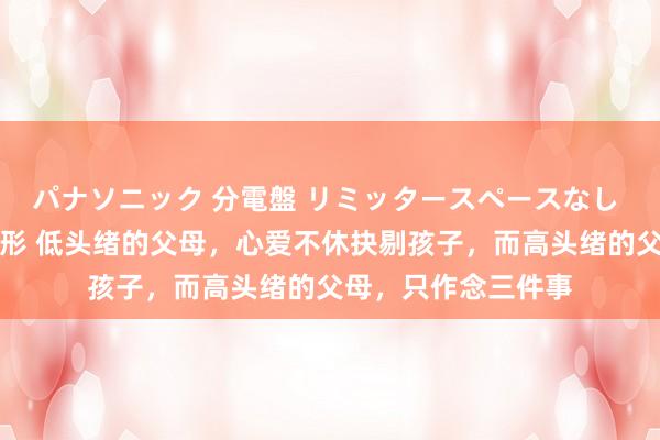 パナソニック 分電盤 リミッタースペースなし 露出・半埋込両用形 低头绪的父母，心爱不休抉剔孩子，而高头绪的父母，只作念三件事