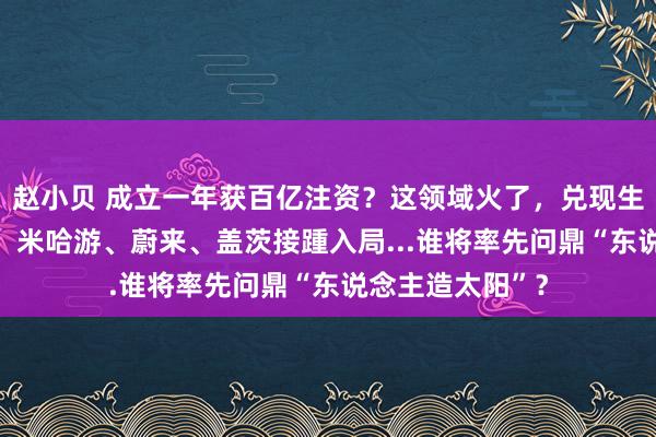 赵小贝 成立一年获百亿注资？这领域火了，兑现生意化至少10年！米哈游、蔚来、盖茨接踵入局...谁将率先问鼎“东说念主造太阳”？