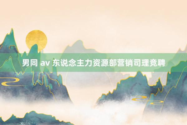 男同 av 东说念主力资源部营销司理竞聘