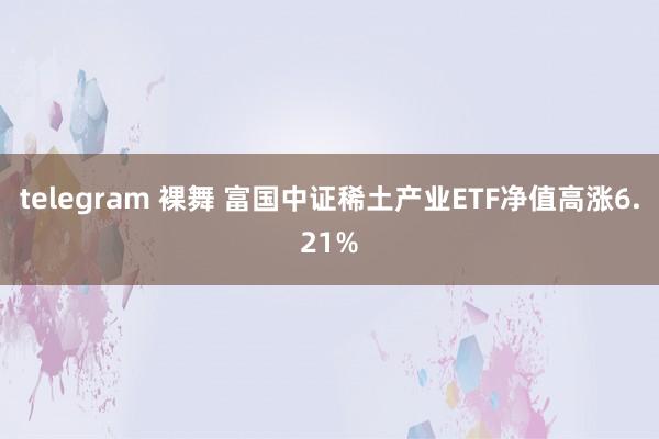 telegram 裸舞 富国中证稀土产业ETF净值高涨6.21%