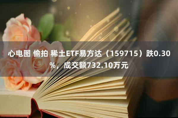 心电图 偷拍 稀土ETF易方达（159715）跌0.30%，成交额732.10万元